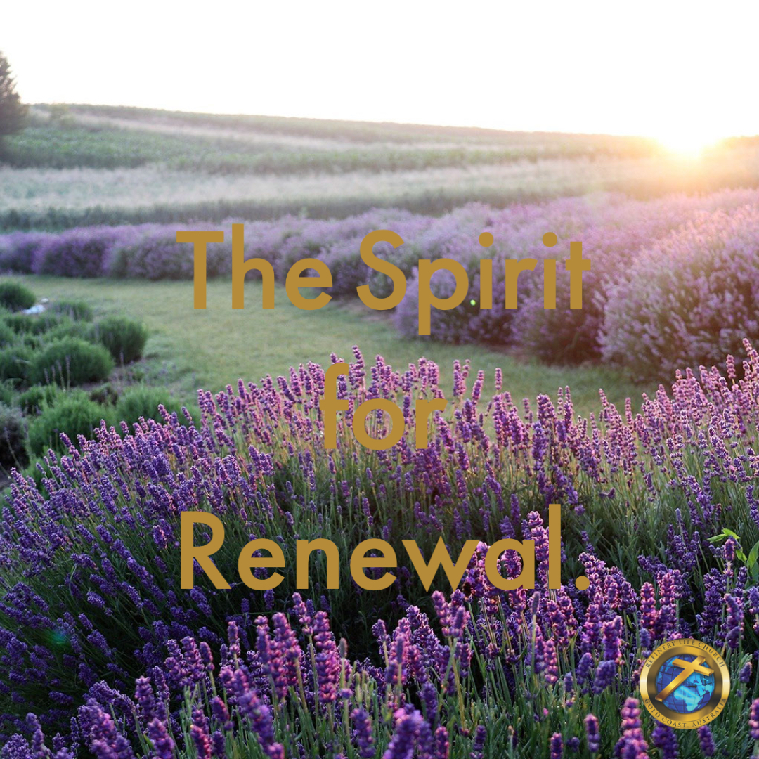 the-spirit-for-renewal-refinery-life