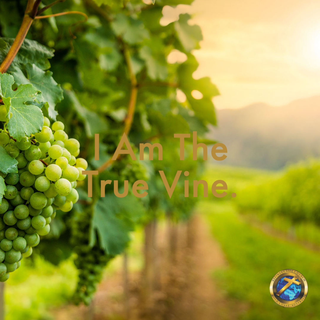 I Am The True Vine. - Refinery Life